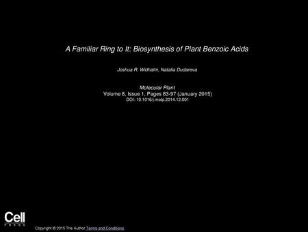 A Familiar Ring to It: Biosynthesis of Plant Benzoic Acids