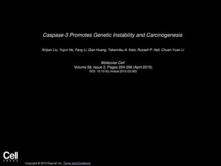 Caspase-3 Promotes Genetic Instability and Carcinogenesis