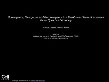 Convergence, Divergence, and Reconvergence in a Feedforward Network Improves Neural Speed and Accuracy  James M. Jeanne, Rachel I. Wilson  Neuron  Volume.