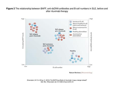 Nat. Rev. Rheumatol. doi: /nrrheum