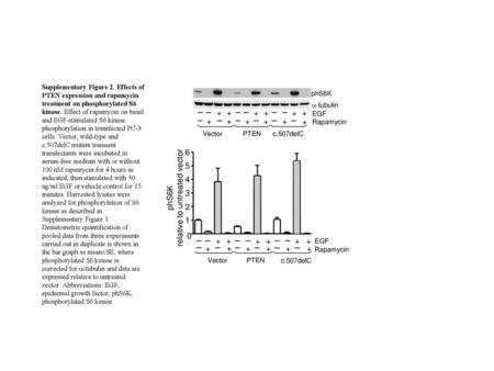 relative to untreated vector