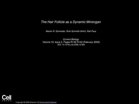 The Hair Follicle as a Dynamic Miniorgan