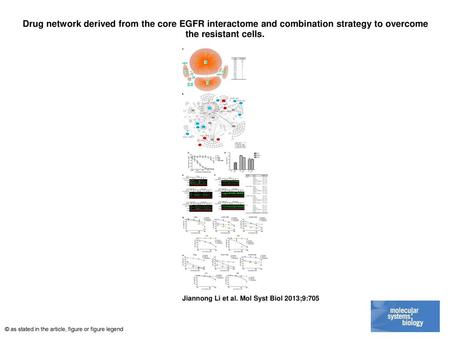 Drug network derived from the core EGFR interactome and combination strategy to overcome the resistant cells. Drug network derived from the core EGFR interactome.