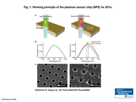 Fig. 1. Working principle of the plasmon sensor chip (NPS) for tEVs.