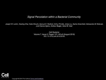 Signal Percolation within a Bacterial Community