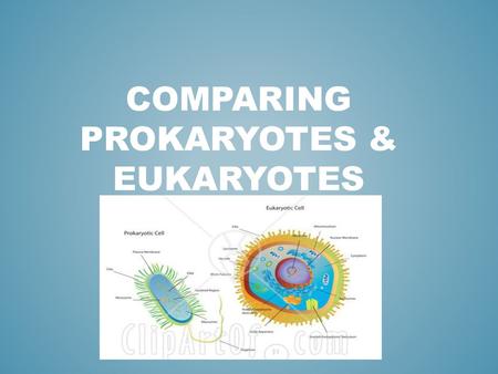 COMPARING Prokaryotes & Eukaryotes