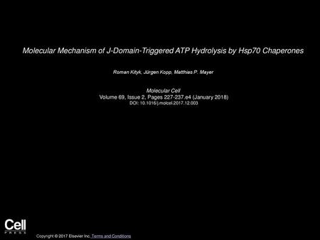 Roman Kityk, Jürgen Kopp, Matthias P. Mayer  Molecular Cell 