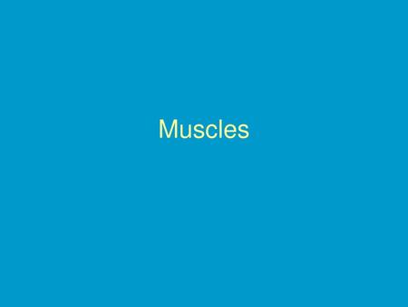 Muscles.