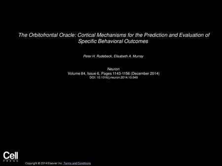 The Orbitofrontal Oracle: Cortical Mechanisms for the Prediction and Evaluation of Specific Behavioral Outcomes  Peter H. Rudebeck, Elisabeth A. Murray 