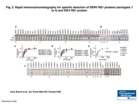 Fig. 2. Rapid immunochromatography for specific detection of DENV NS1 proteins (serotypes 1 to 4) and ZIKV NS1 protein. Rapid immunochromatography for.