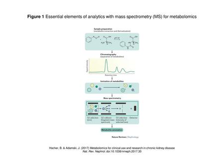 Nat. Rev. Nephrol. doi: /nrneph