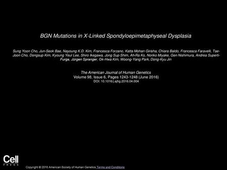 BGN Mutations in X-Linked Spondyloepimetaphyseal Dysplasia