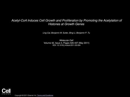 Acetyl-CoA Induces Cell Growth and Proliferation by Promoting the Acetylation of Histones at Growth Genes  Ling Cai, Benjamin M. Sutter, Bing Li, Benjamin P.