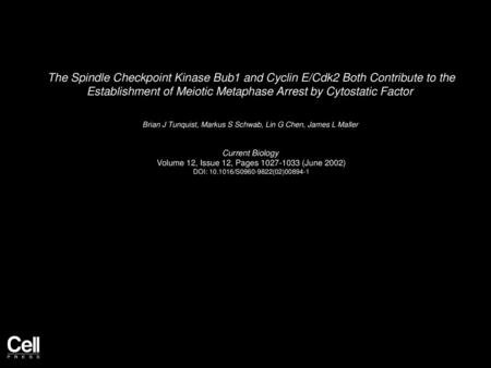 The Spindle Checkpoint Kinase Bub1 and Cyclin E/Cdk2 Both Contribute to the Establishment of Meiotic Metaphase Arrest by Cytostatic Factor  Brian J Tunquist,