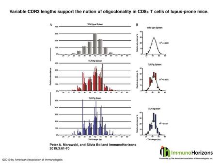 Variable CDR3 lengths support the notion of oligoclonality in CD8+ T cells of lupus-prone mice. Variable CDR3 lengths support the notion of oligoclonality.