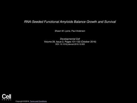 RNA-Seeded Functional Amyloids Balance Growth and Survival