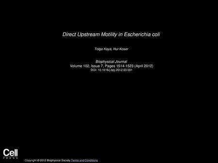 Direct Upstream Motility in Escherichia coli