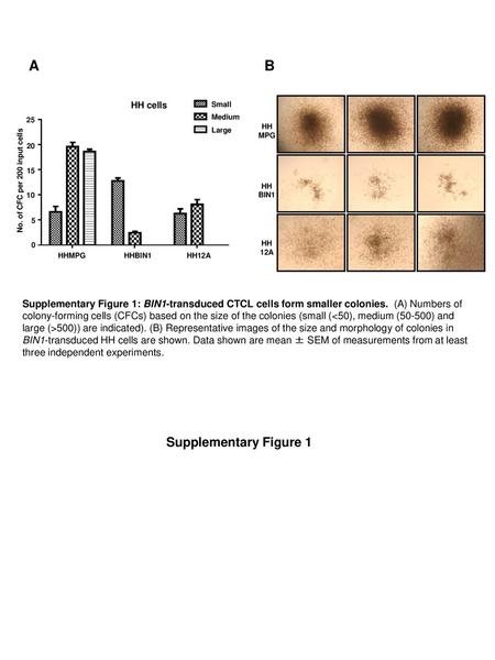 A B Supplementary Figure 1