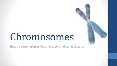 How do chromosomes determine sex and some diseases