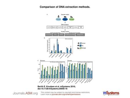 Comparison of DNA extraction methods.