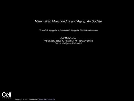 Mammalian Mitochondria and Aging: An Update