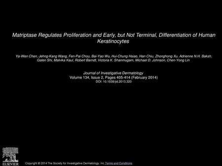 Matriptase Regulates Proliferation and Early, but Not Terminal, Differentiation of Human Keratinocytes  Ya-Wen Chen, Jehng-Kang Wang, Fen-Pai Chou, Bai-Yao.