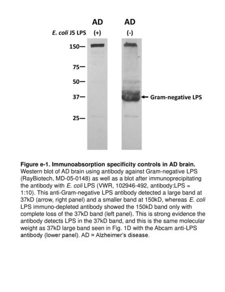 AD AD E. coli J5 LPS (+) (-) Gram-negative LPS 25