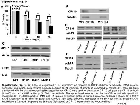 * * * A B D C E CP110 Tubulin WB: CP110 WB: HA CP110 KRAS Tubulin