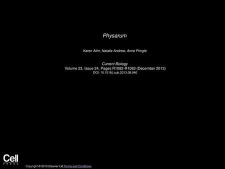 Physarum Current Biology