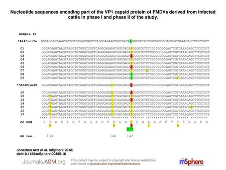 Nucleotide sequences encoding part of the VP1 capsid protein of FMDVs derived from infected cattle in phase I and phase II of the study. Nucleotide sequences.