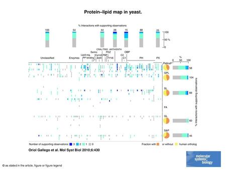 Protein–lipid map in yeast.