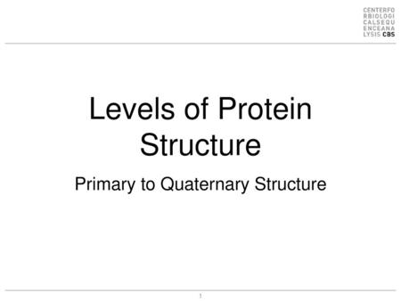 Levels of Protein Structure