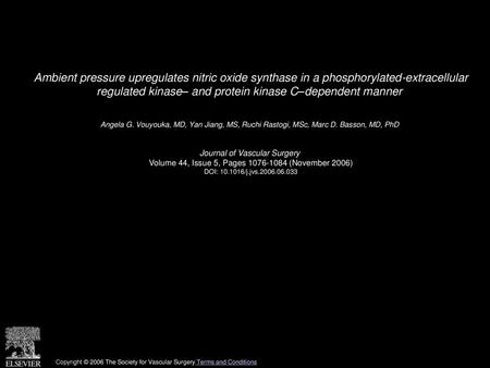 Ambient pressure upregulates nitric oxide synthase in a phosphorylated-extracellular regulated kinase– and protein kinase C–dependent manner  Angela G.