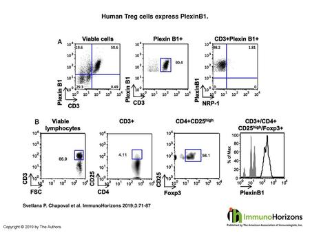 Human Treg cells express PlexinB1.