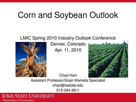 Corn and Soybean Outlook