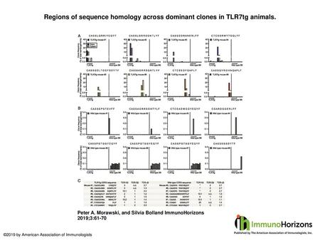 Regions of sequence homology across dominant clones in TLR7tg animals.