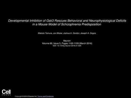 Developmental Inhibition of Gsk3 Rescues Behavioral and Neurophysiological Deficits in a Mouse Model of Schizophrenia Predisposition  Makoto Tamura, Jun.