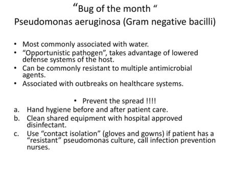 “Bug of the month “ Pseudomonas aeruginosa (Gram negative bacilli)