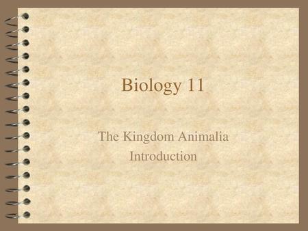 The Kingdom Animalia Introduction