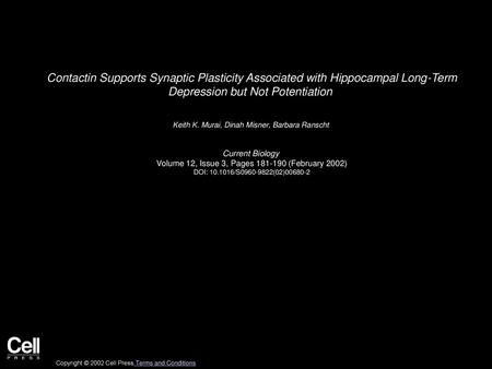 Contactin Supports Synaptic Plasticity Associated with Hippocampal Long-Term Depression but Not Potentiation  Keith K. Murai, Dinah Misner, Barbara Ranscht 