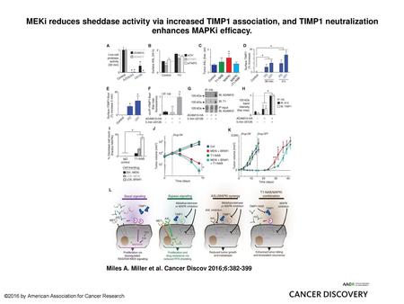 MEKi reduces sheddase activity via increased TIMP1 association, and TIMP1 neutralization enhances MAPKi efficacy. MEKi reduces sheddase activity via increased.