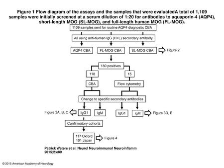 Figure 1 Flow diagram of the assays and the samples that were evaluatedA total of 1,109 samples were initially screened at a serum dilution of 1:20 for.