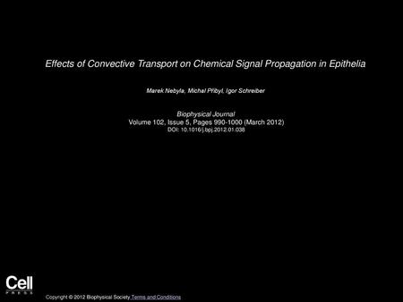 Marek Nebyla, Michal Přibyl, Igor Schreiber  Biophysical Journal 