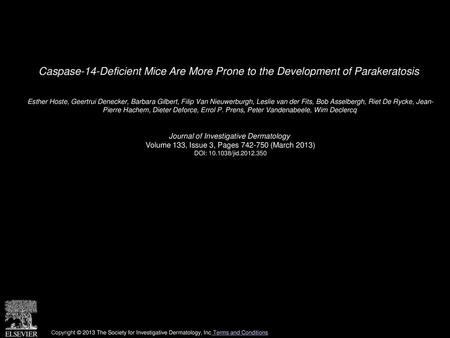 Caspase-14-Deficient Mice Are More Prone to the Development of Parakeratosis  Esther Hoste, Geertrui Denecker, Barbara Gilbert, Filip Van Nieuwerburgh,