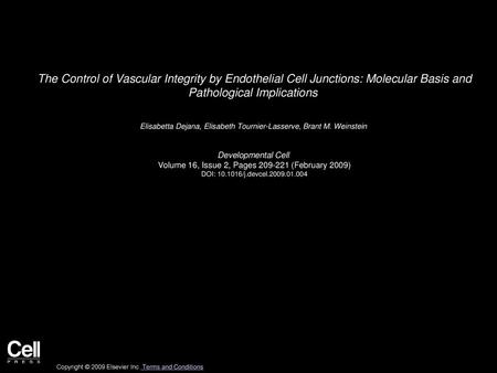 The Control of Vascular Integrity by Endothelial Cell Junctions: Molecular Basis and Pathological Implications  Elisabetta Dejana, Elisabeth Tournier-Lasserve,