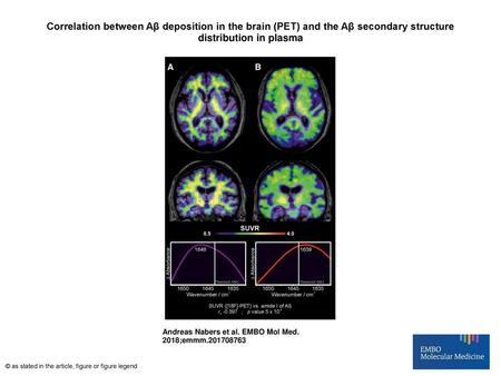 Correlation between Aβ deposition in the brain (PET) and the Aβ secondary structure distribution in plasma Correlation between Aβ deposition in the brain.