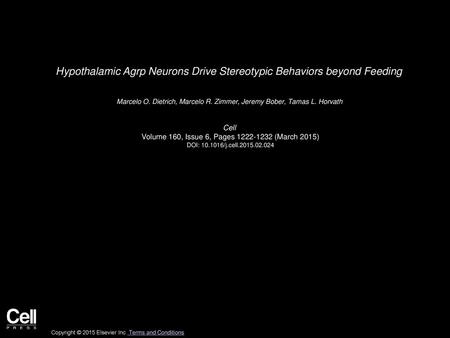 Hypothalamic Agrp Neurons Drive Stereotypic Behaviors beyond Feeding