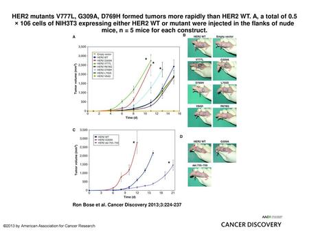 HER2 mutants V777L, G309A, D769H formed tumors more rapidly than HER2 WT. A, a total of 0.5 × 106 cells of NIH3T3 expressing either HER2 WT or mutant were.