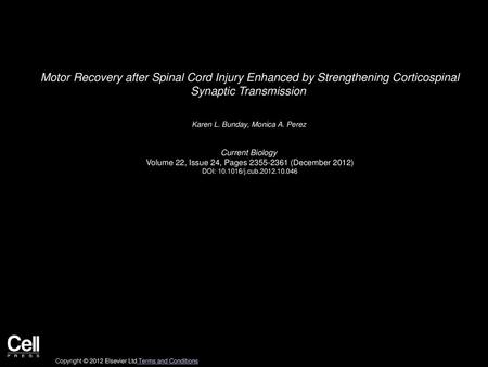 Motor Recovery after Spinal Cord Injury Enhanced by Strengthening Corticospinal Synaptic Transmission  Karen L. Bunday, Monica A. Perez  Current Biology 