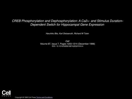 CREB Phosphorylation and Dephosphorylation: A Ca2+- and Stimulus Duration– Dependent Switch for Hippocampal Gene Expression  Haruhiko Bito, Karl Deisseroth,